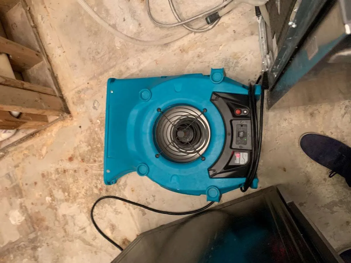 Air mover drying equipment for Mold Remediation & Removal in Marengo